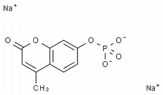 碳水化合物類(lèi)