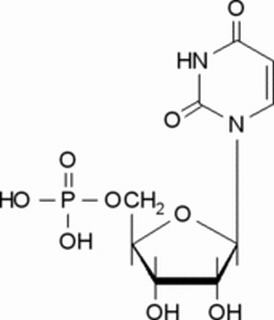 植物激素及核酸類(lèi)