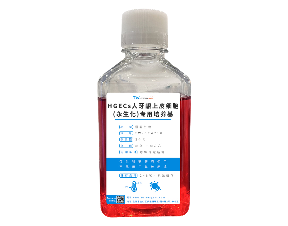 永生化細(xì)胞專用培養(yǎng)基