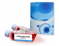 細胞系專用培養(yǎng)基